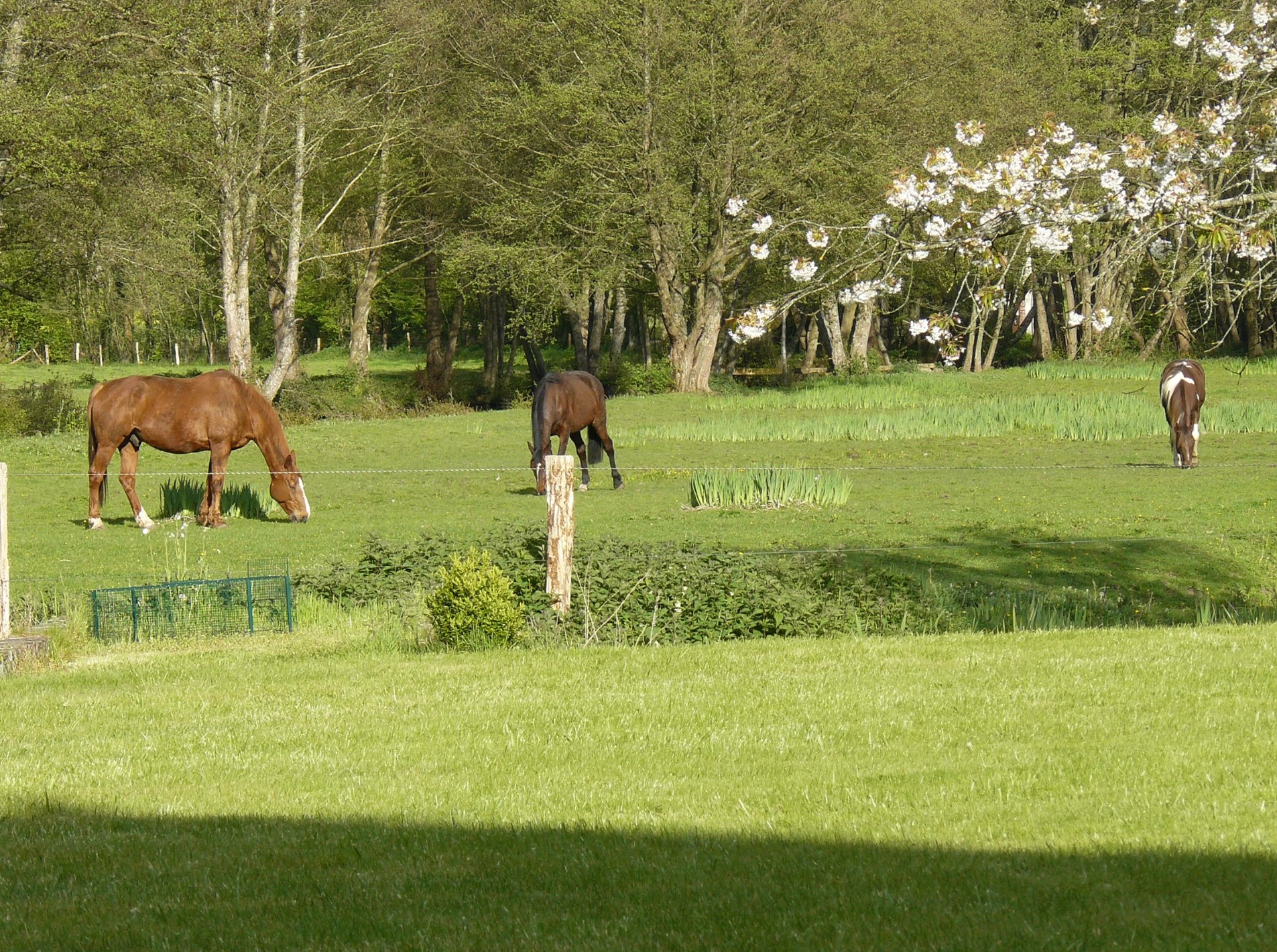 ferme-des-moulins_photo